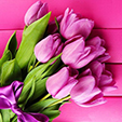 Тюльпаны-на-8-марта-700x394